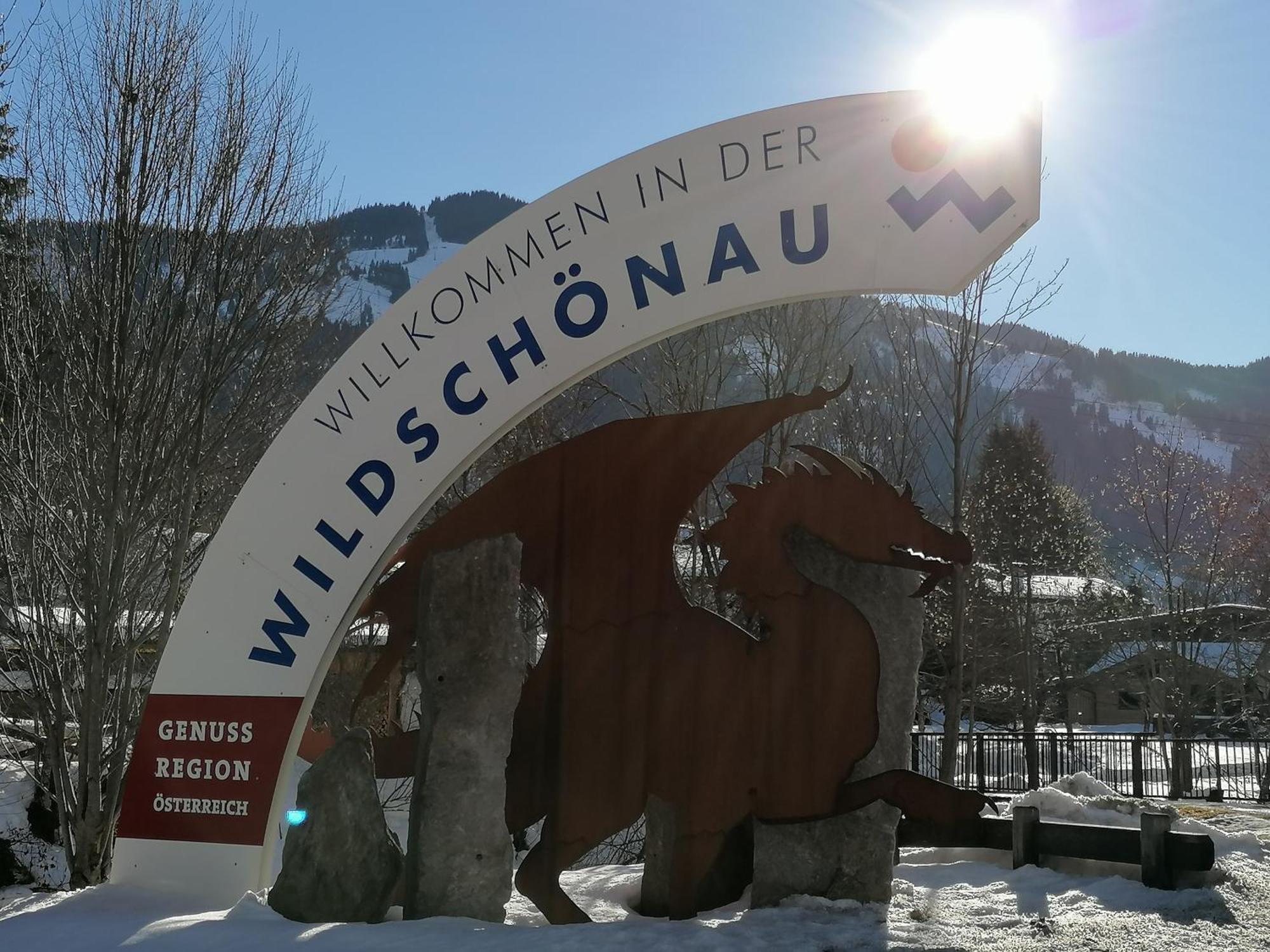 Christof,S Ferienwohnung Wild231 Oberau Buitenkant foto